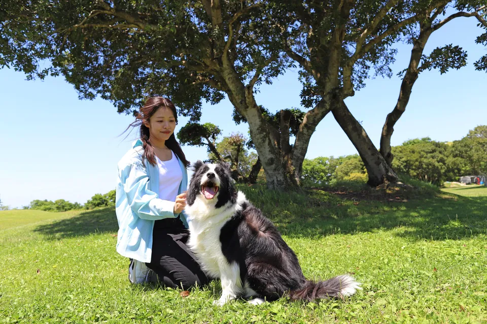 年中楽しめる様々な施設