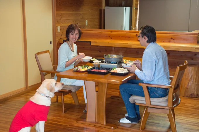 愛⽝との部屋⾷