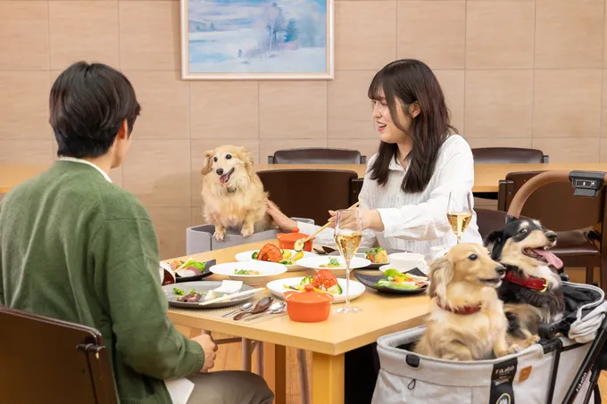 レストラン同伴可