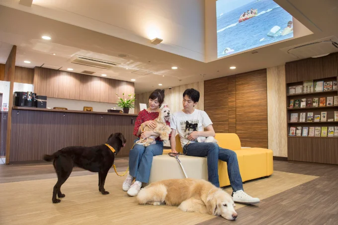 ⽝種・頭数無制限