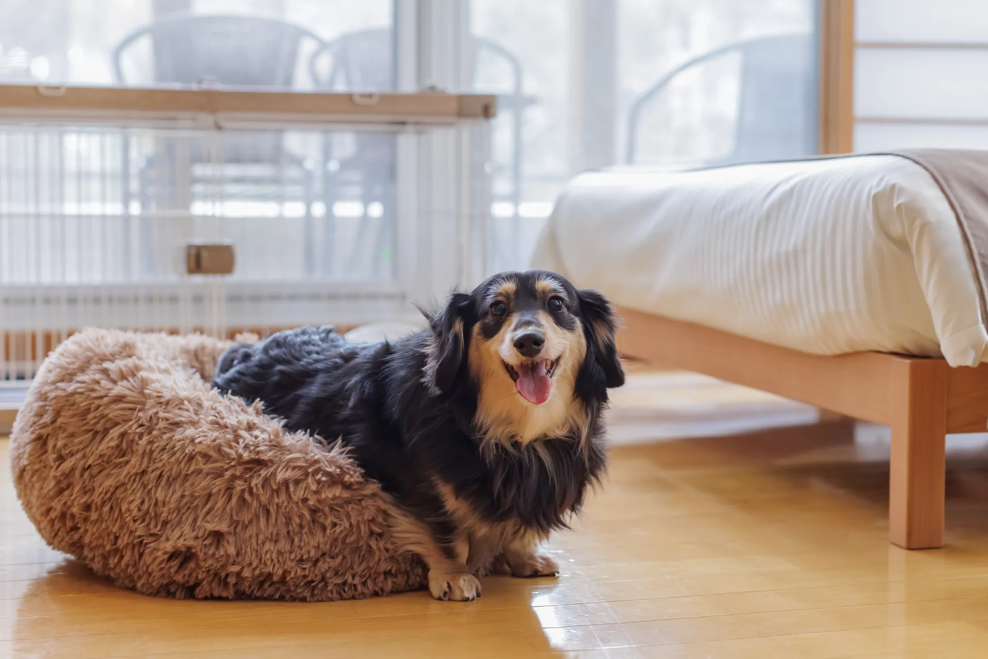 ホテルを探すファーストビュー