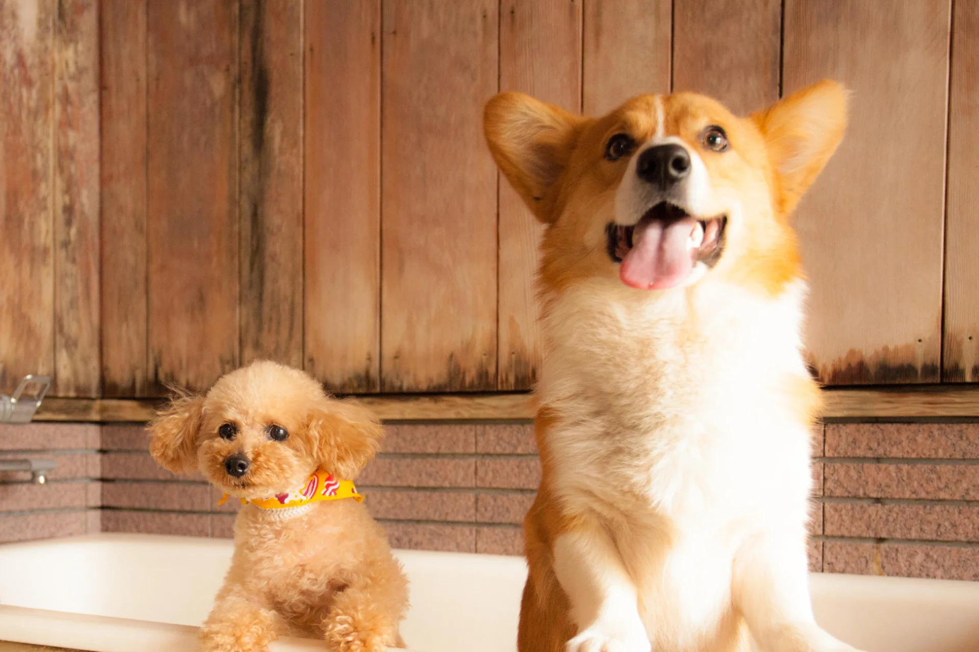 ホテルを探すファーストビュー