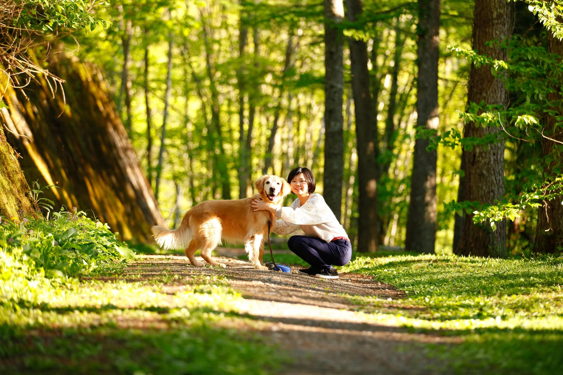 ホテルを探すファーストビュー