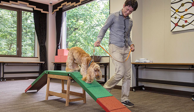 屋内プレイスペース