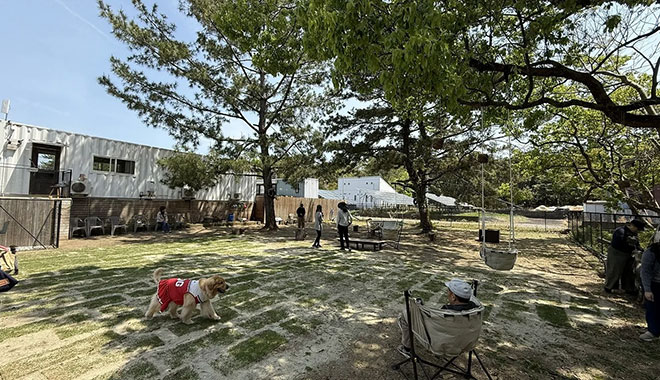 ドッグパークohana