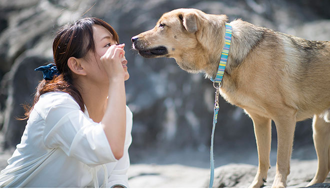 フォトサービス