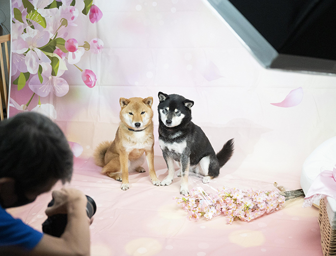 フォトサービス