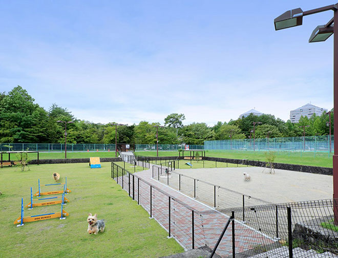 ドッグガーデン