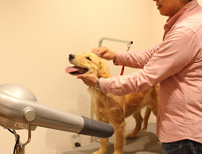 ドッグシャンプールーム