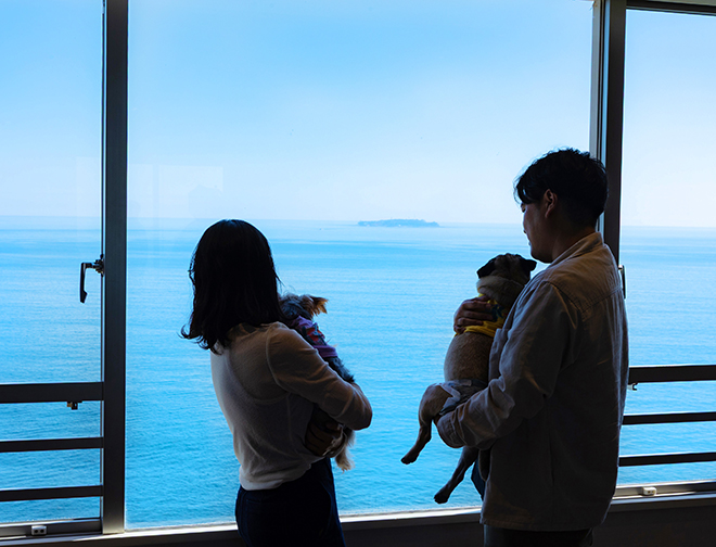 客室からの眺望