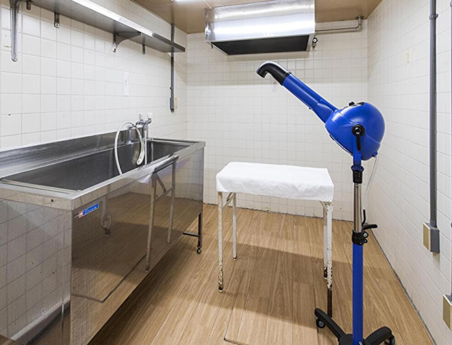 セルフグルーミングルーム