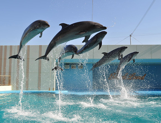 南知多ビーチランド
