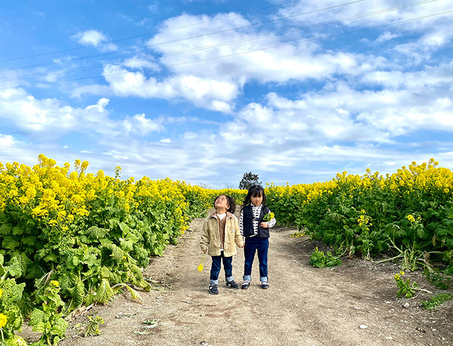 観光農園 花ひろば