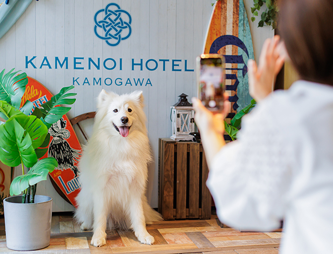 フォトスポット