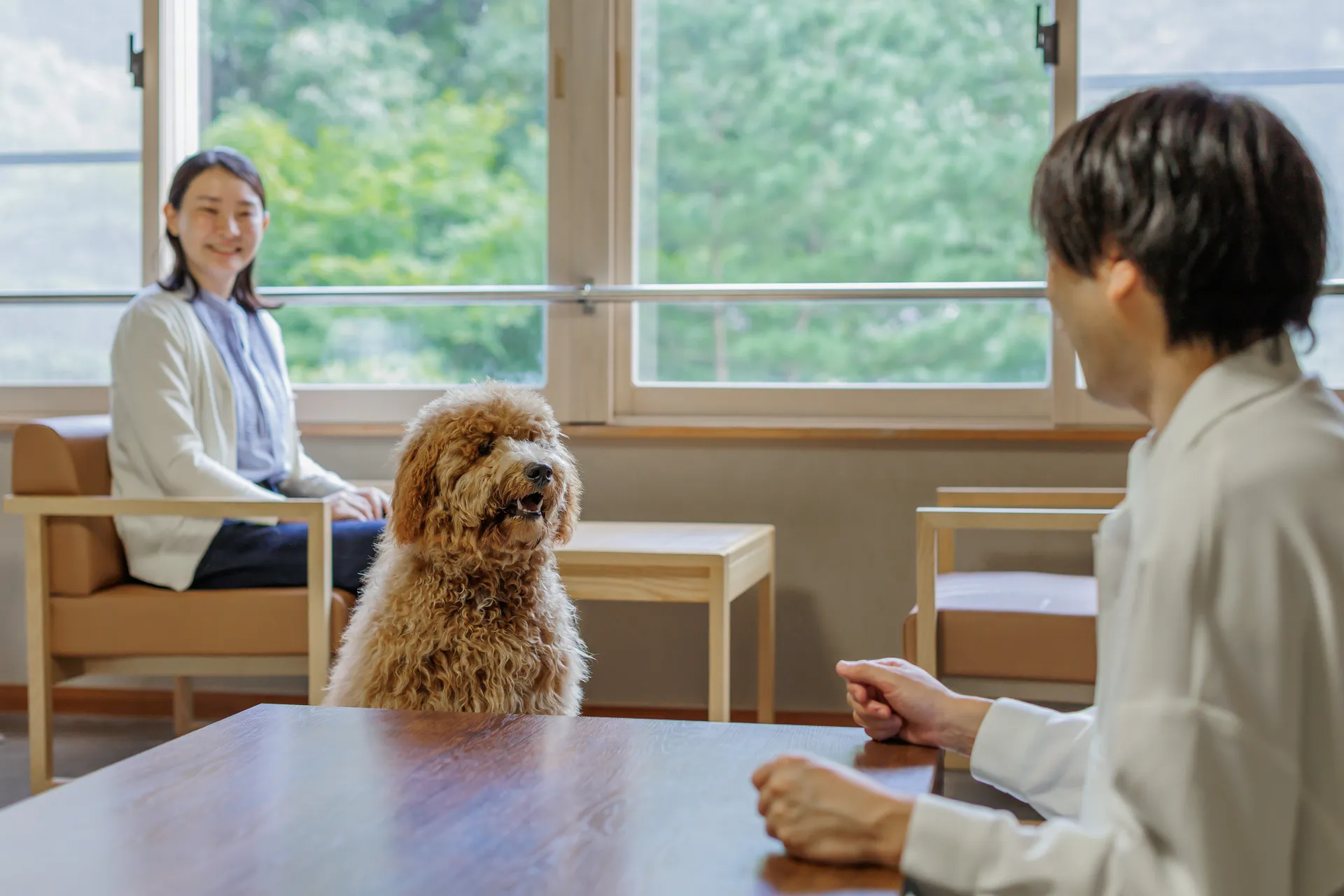 わんわんパラダイス プレミア 塩原