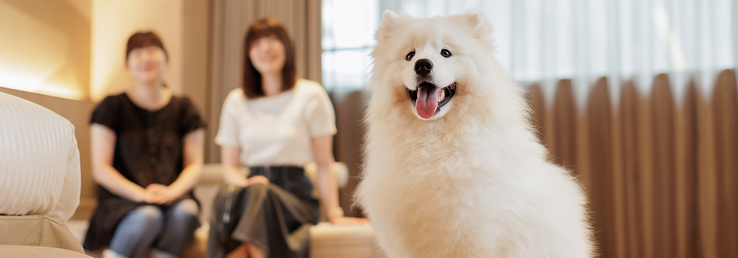 亀の井ホテル 筑波山