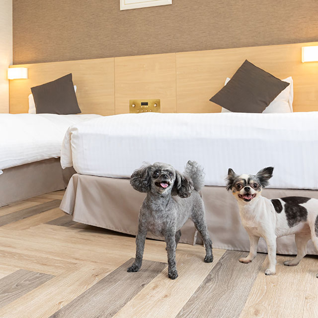 亀の井ホテル 知多美浜