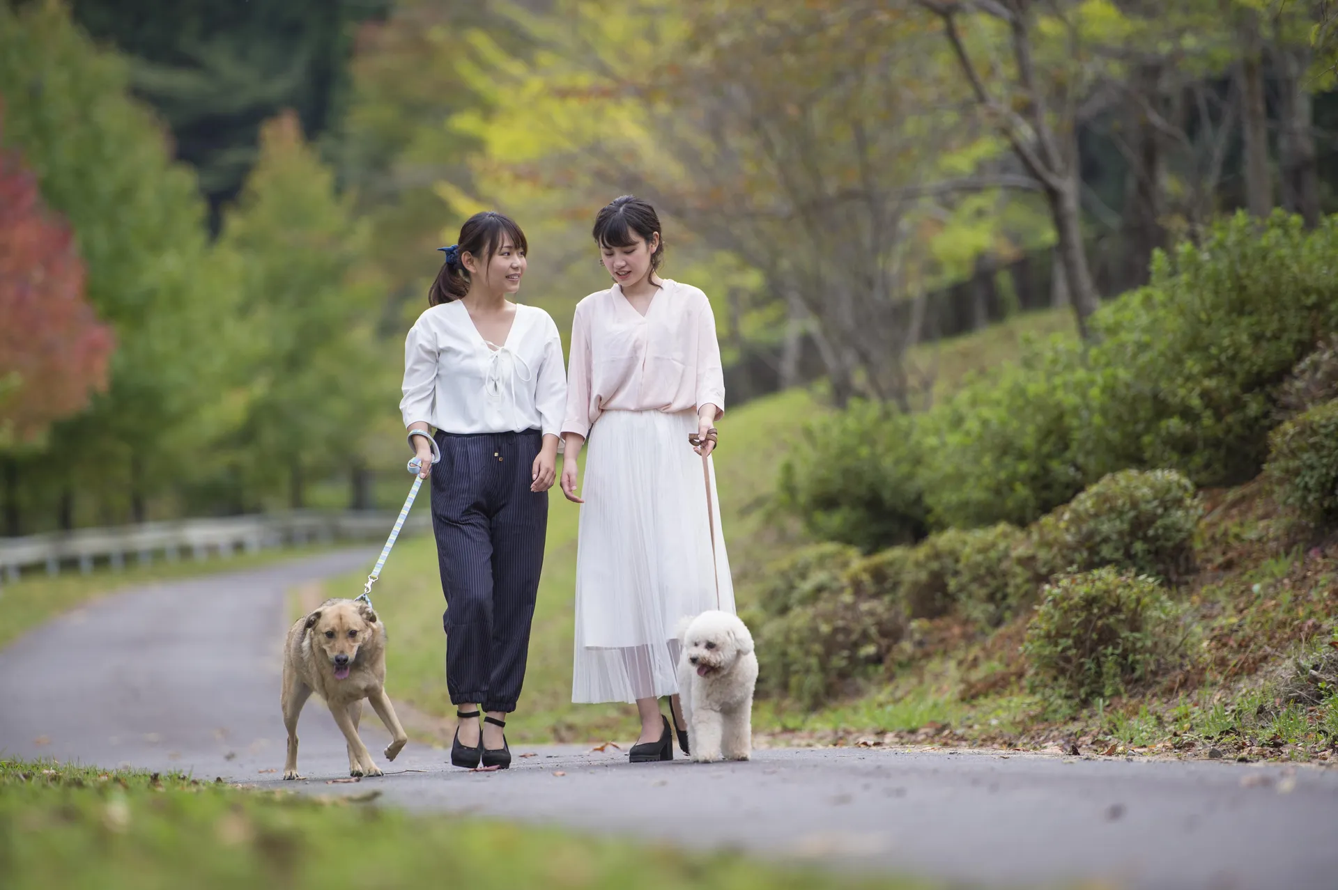 松阪わんわんパラダイス 森のホテルスメール