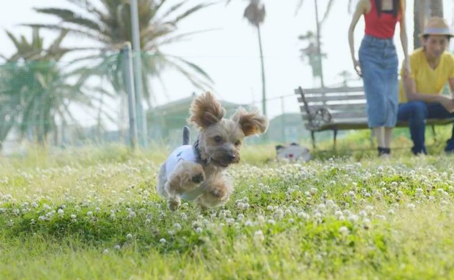 白浜オーシャンリゾート