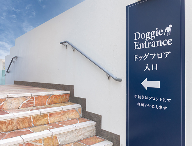 ドギーエントランス