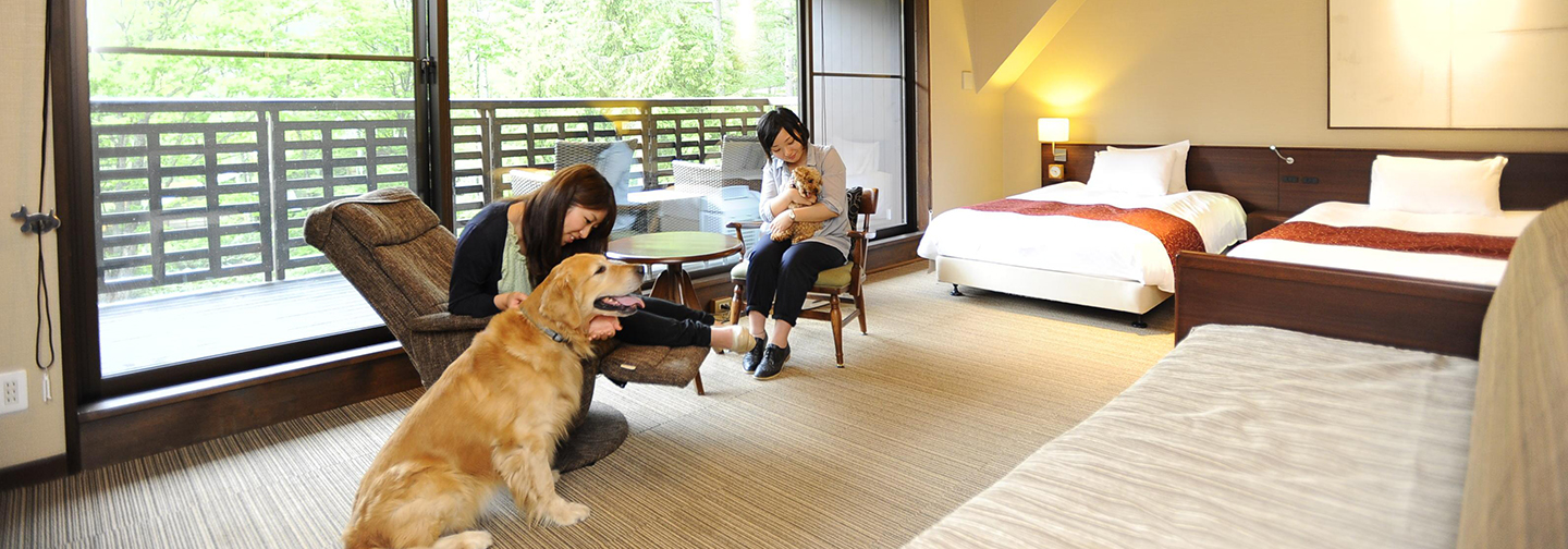 わんわんパラダイス 高山