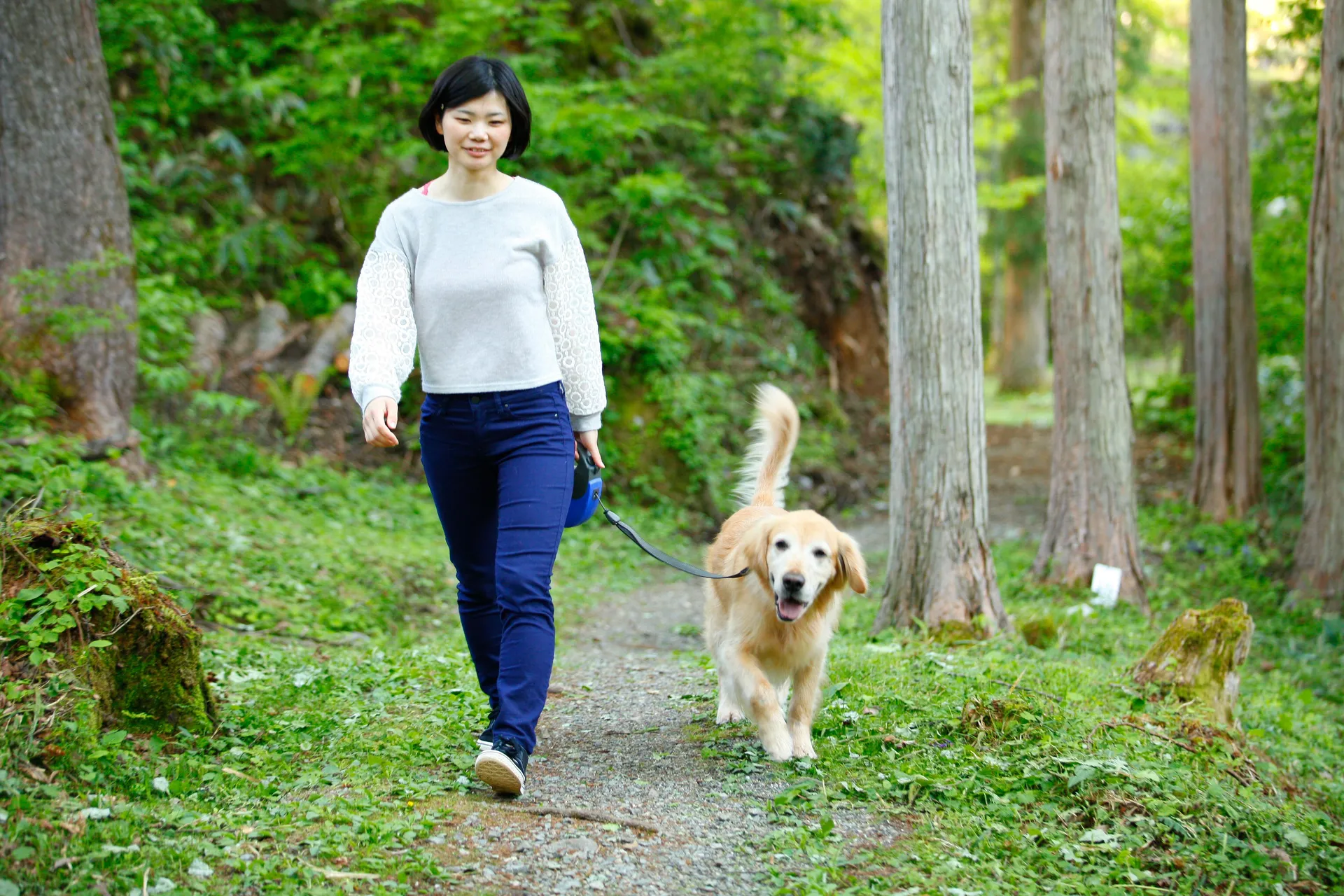 高山わんわんパラダイスホテル&コテージ