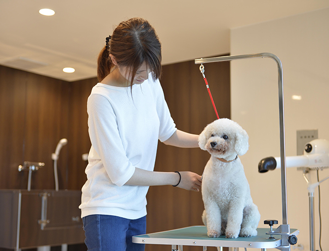 セルフグルーミングルーム