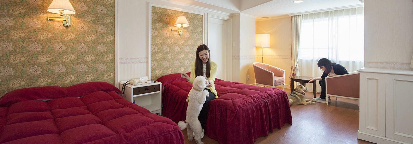 わんわんパラダイス 鳥羽