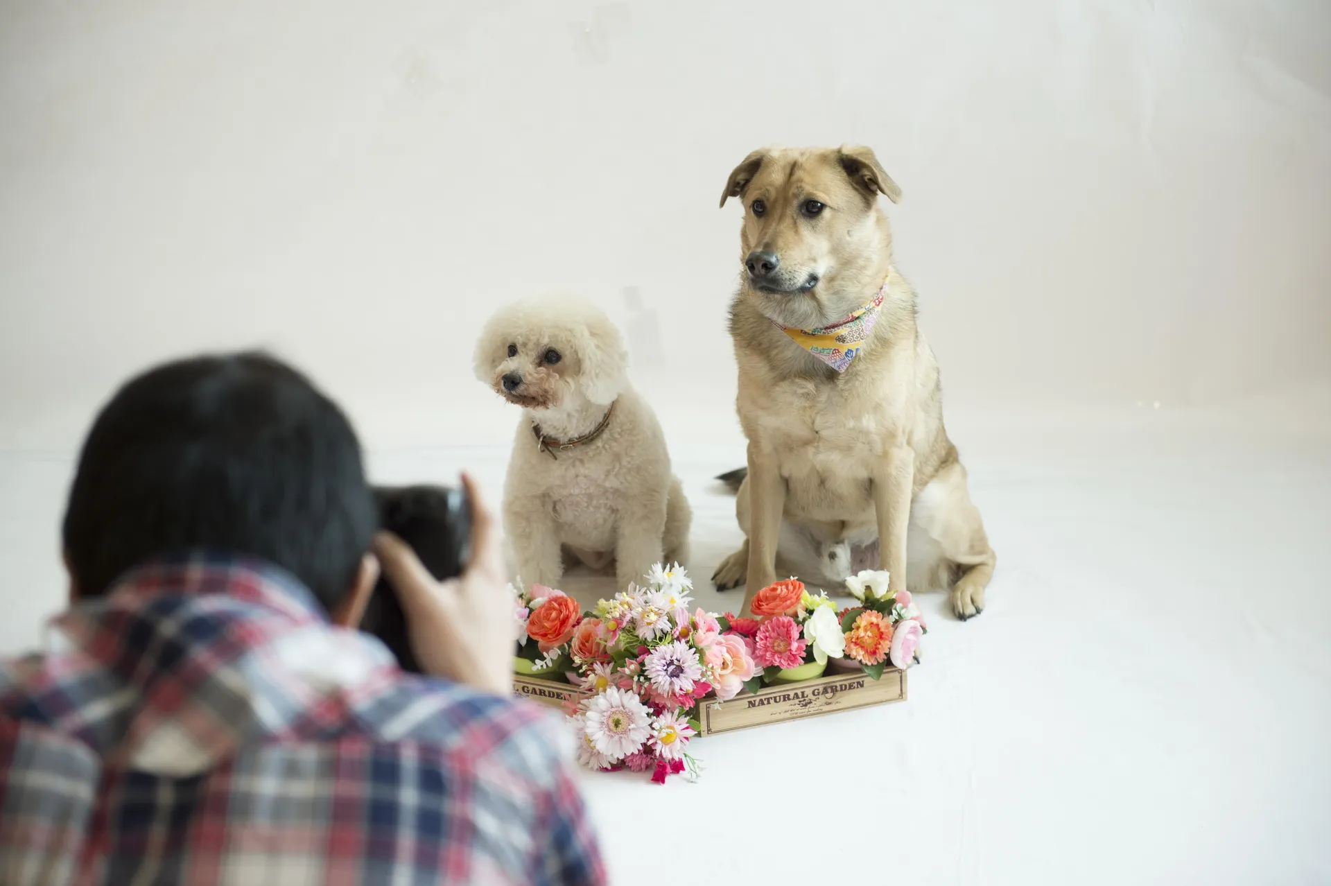 鳥羽わんわんパラダイスホテル