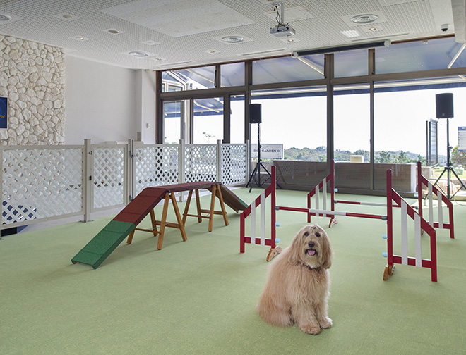 屋内プレイスペース