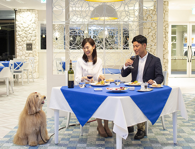 ペット同伴可能なレストラン