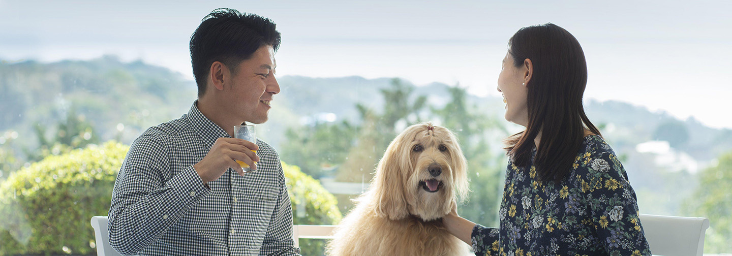 わんわんパラダイス プレミア 伊豆高原