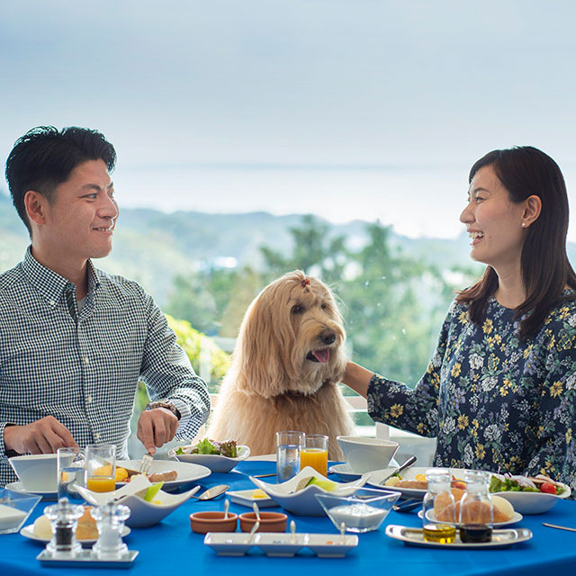 Wan’s Resort 城ヶ崎海岸