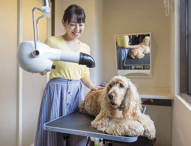 愛犬用 セルフシャンプールーム