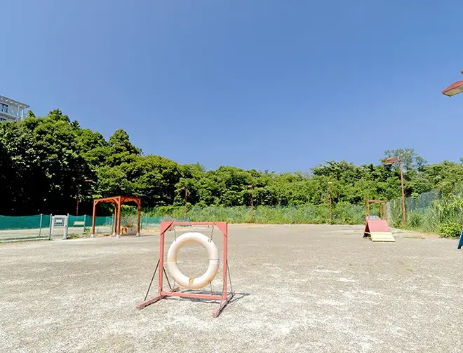 敷地内dog park