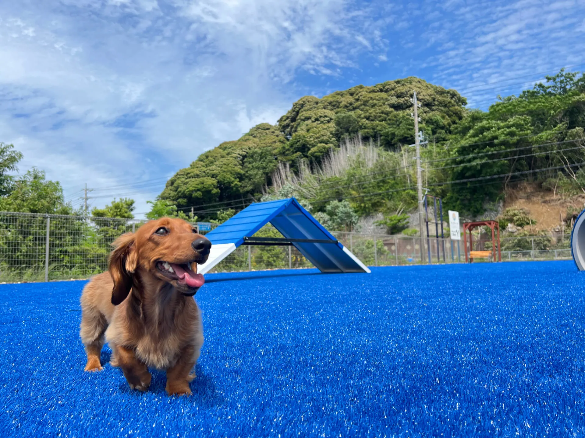 浜名湖わんわんパラダイスホテル