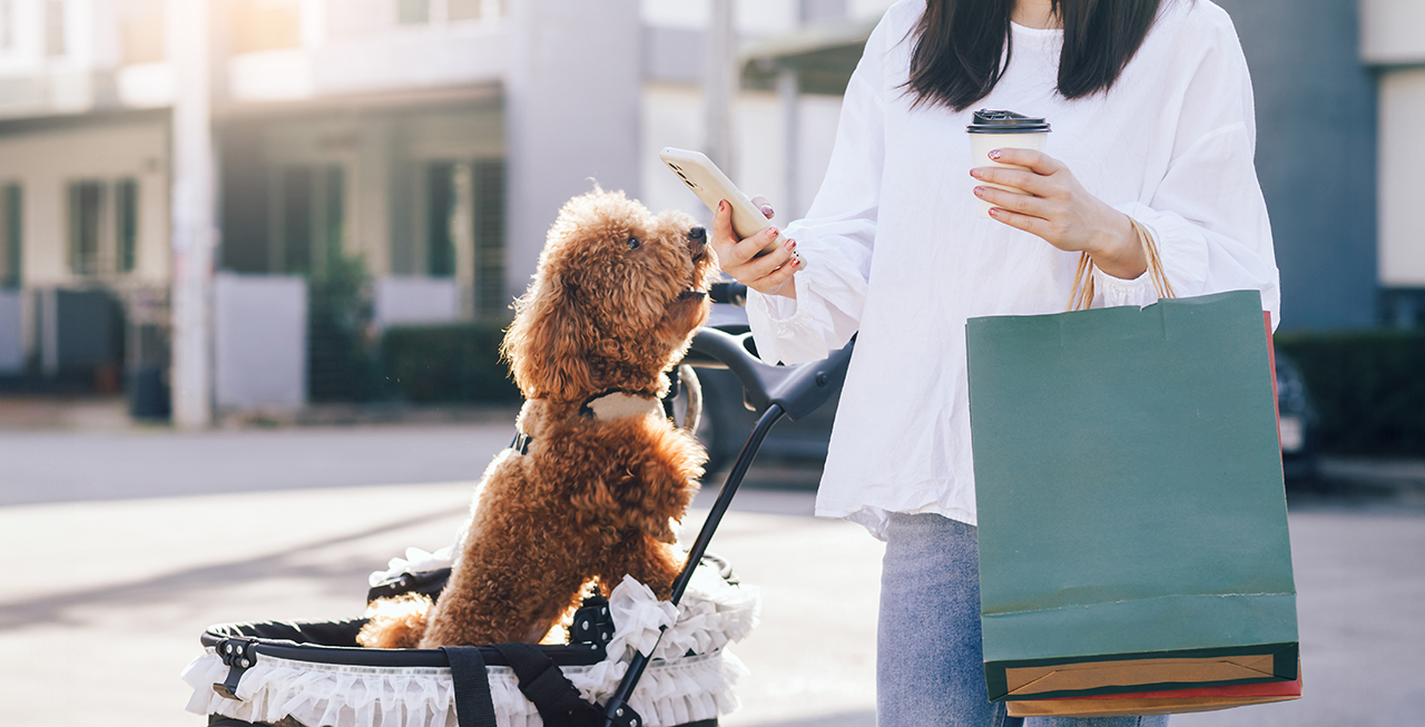 愛犬との旅行でワクチン接種証明書を忘れた場合の対処法は？