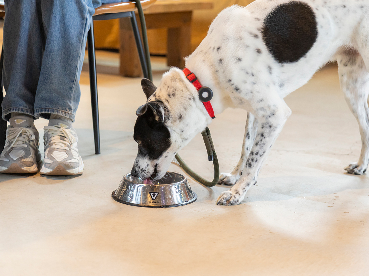 愛犬には嬉しいお水のサービスも