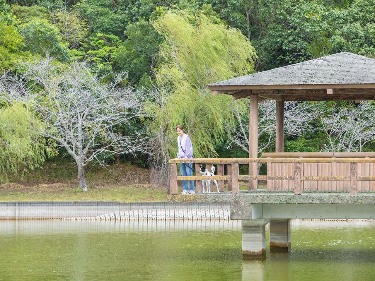 東屋で一休み。池に住むコイやヘラブナの姿が見られるかも！
