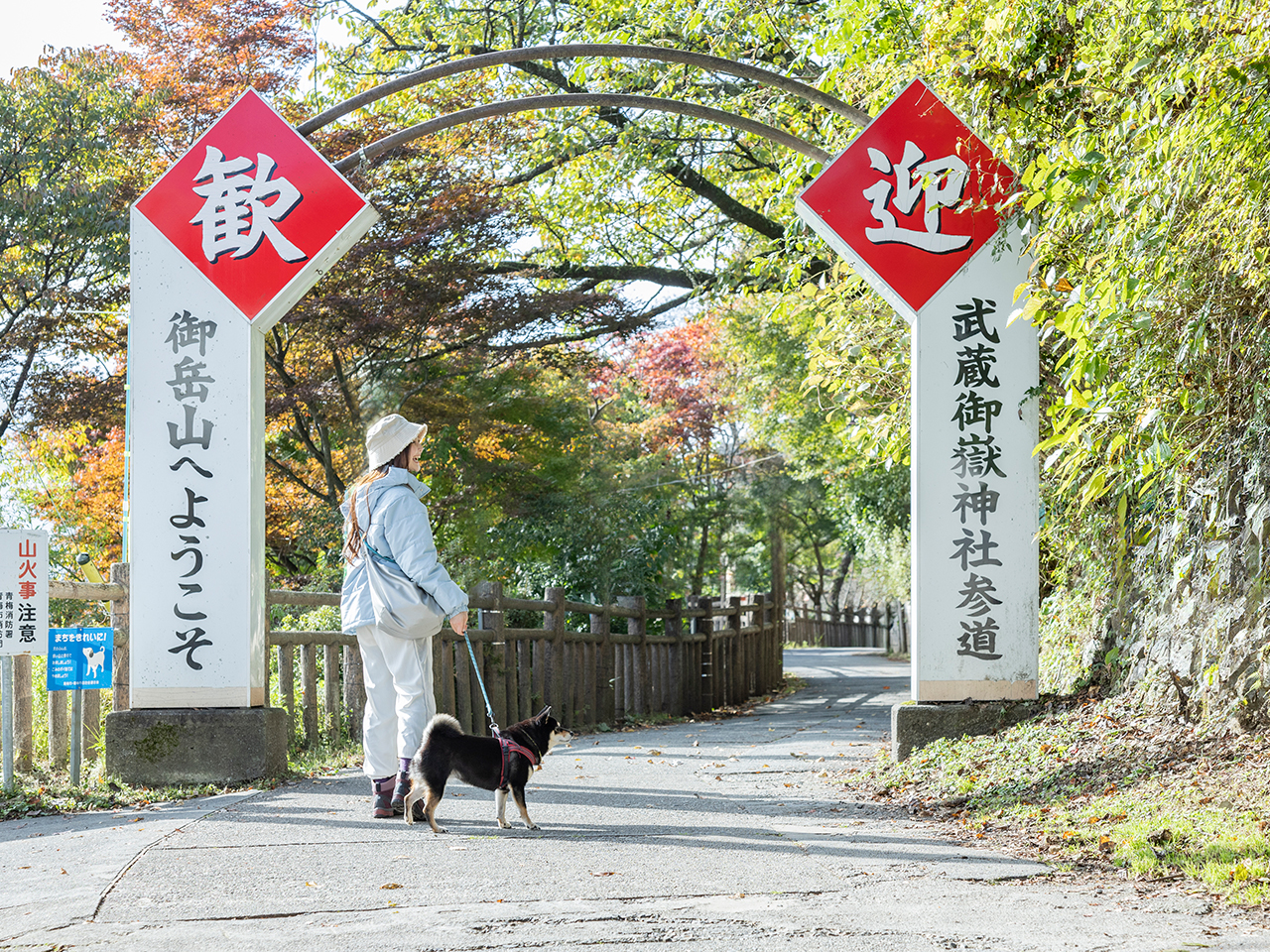 ここから約30分歩いて山頂の武蔵御嶽神社へ