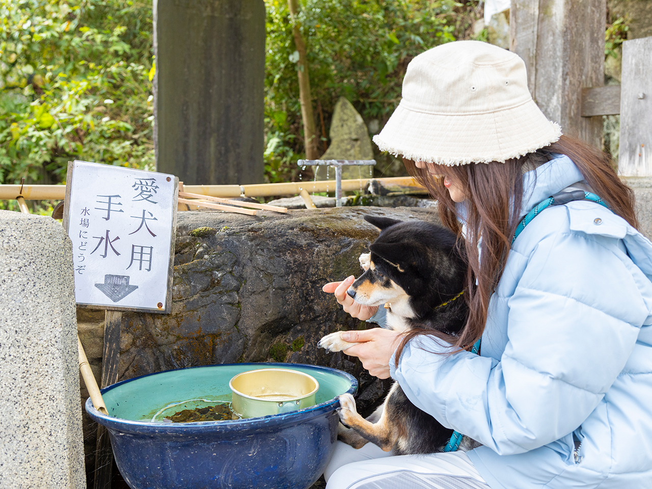 門前の手水鉢には、愛犬用の手水も！