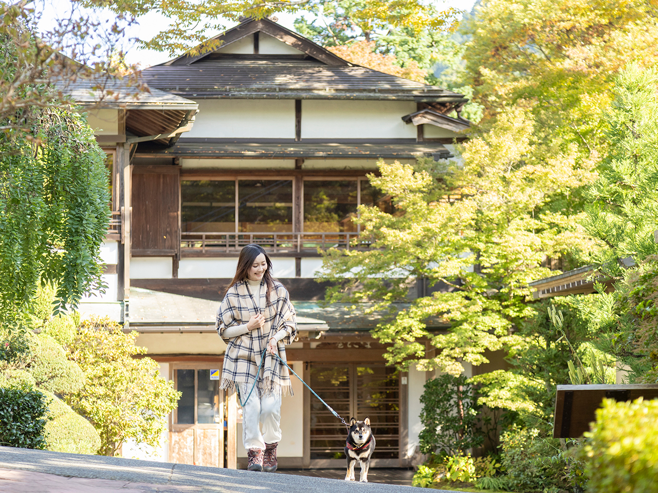 緑あふれる「澤乃井園」は渓流沿いの癒しスポット