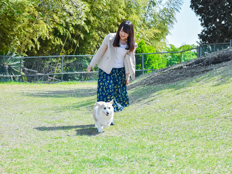 伊豆ぐらんぱる公園