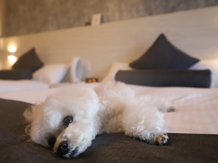 Wan's Resort 城ヶ崎海岸