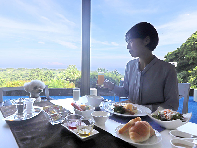 Wan's Resort 城ヶ崎海岸