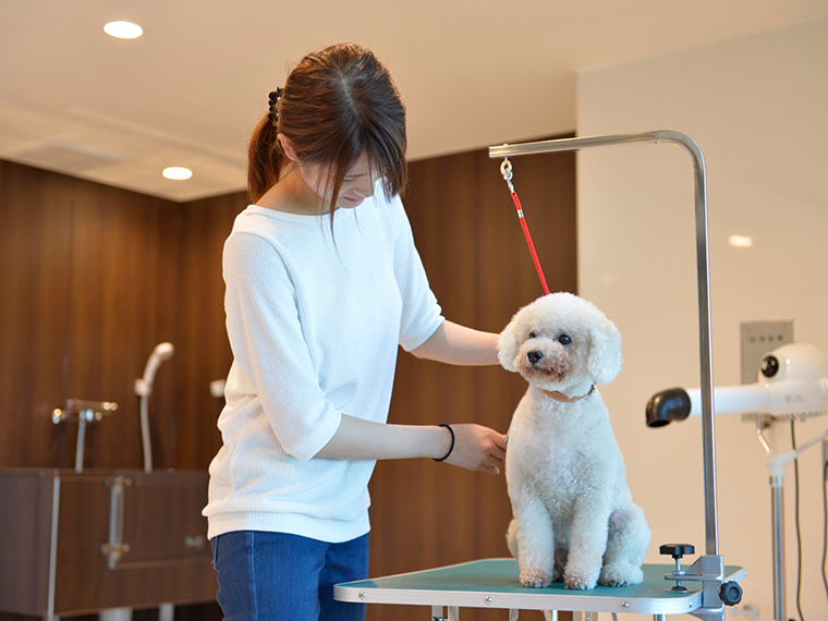 鳥羽わんわんパラダイスホテル