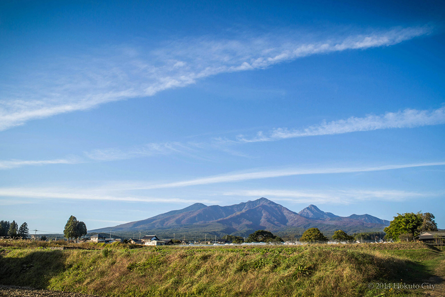 【八ヶ岳周辺】愛犬と一緒に楽しむ体験スポット5選｜おすすめ宿も要チェック！