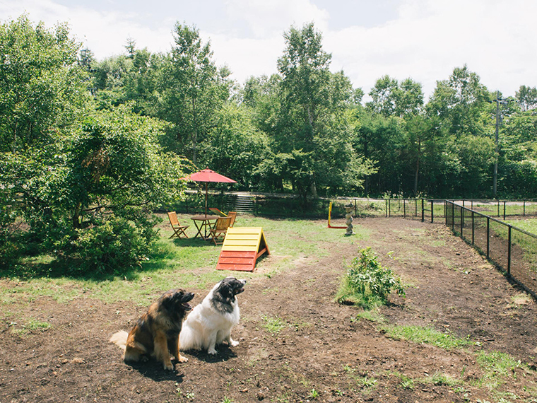 蓼科わんわんパラダイスコテージ