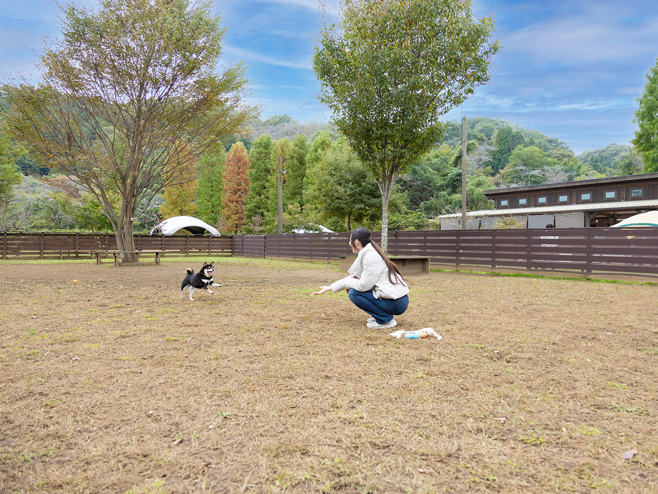 柔らかい土のドッグラン。サイズ別に分かれているので大きなワンちゃんが苦手な子も安心