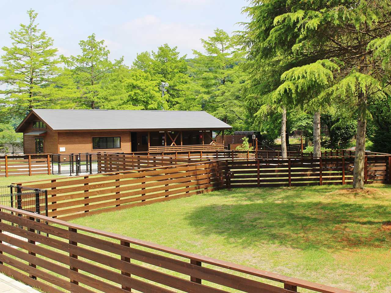 ドッグランの柵には地元・多摩地域の木材を利用